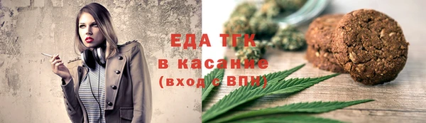 индика Богородск