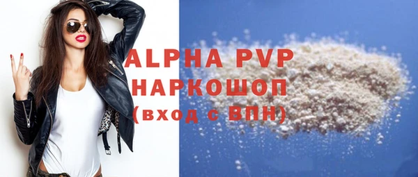 индика Богородск