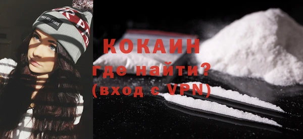 индика Богородск