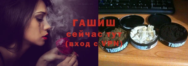 индика Богородск