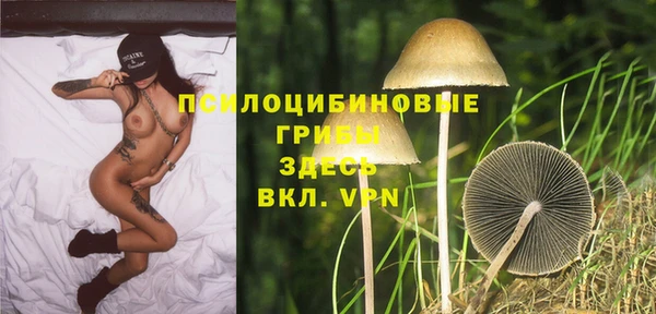 индика Богородск