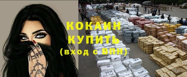 индика Богородск