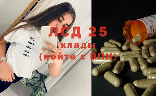 индика Богородск