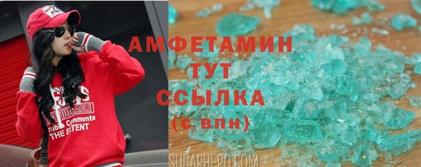 индика Богородск