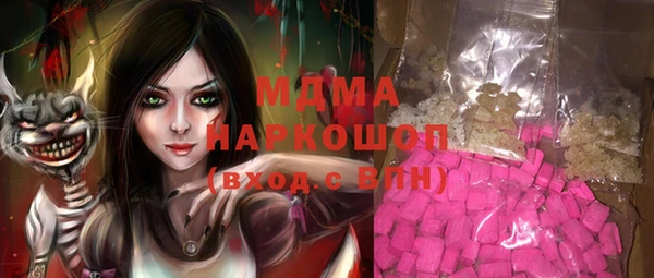 индика Богородск