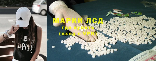 индика Богородск