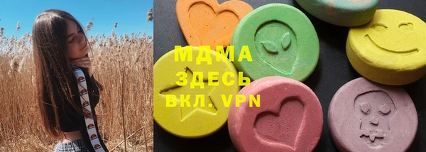индика Богородск
