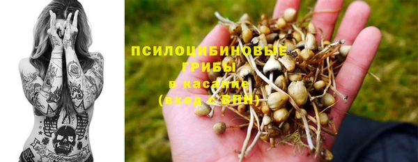 индика Богородск