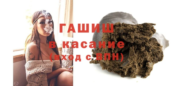 индика Богородск